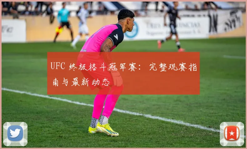UFC 终极格斗冠军赛：完整观赛指南与最新动态