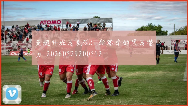 英超升班马表现：新赛季的黑马潜力_20260529200512